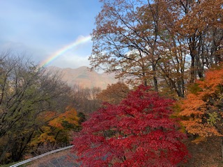 紅葉シーズン