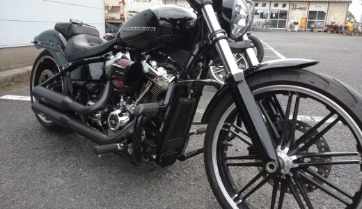 FXBRS Custom